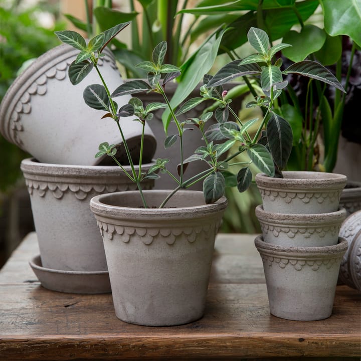 Københavner flower pot Ø14 cm, Grey Bergs Potter