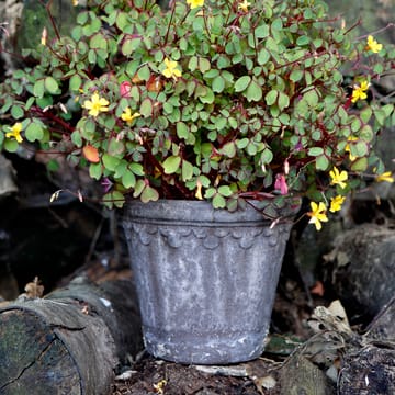 Københavner flower pot Ø16 cm - Grey - Bergs Potter