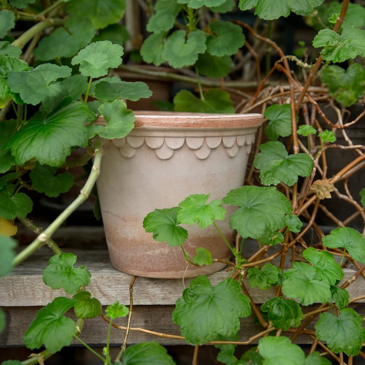 Københavner flower pot Ø16 cm, Pink Bergs Potter