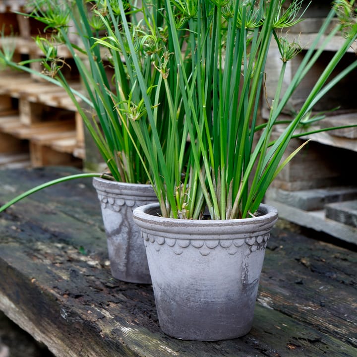Københavner flower pot Ø18 cm, Grey Bergs Potter