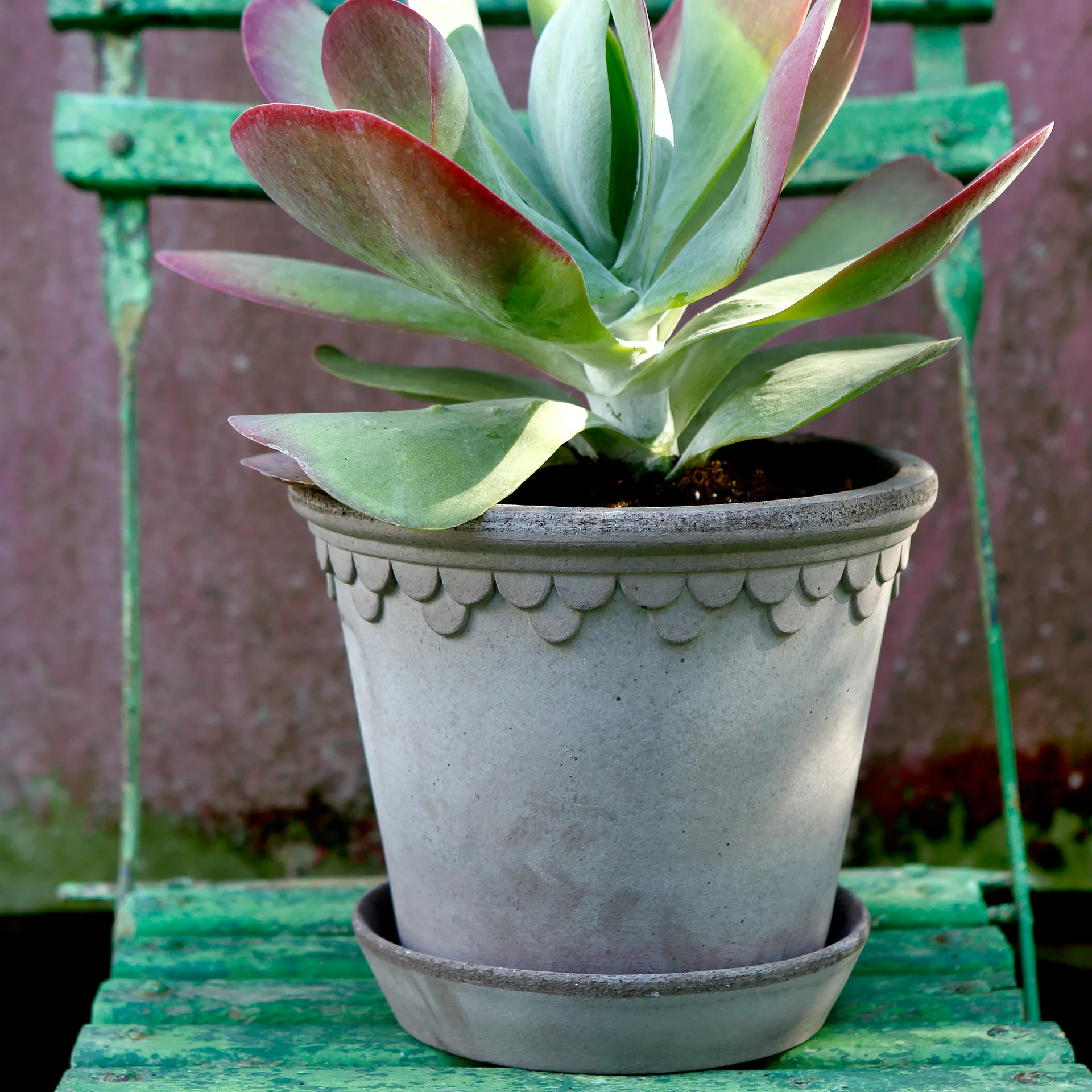 Københavner flower pot 21 cm, Grey Bergs Potter