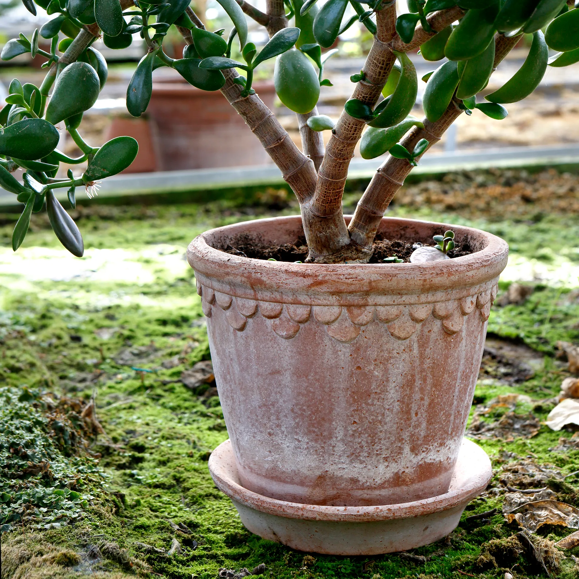 Københavner flower pot 21 cm, Pink Bergs Potter