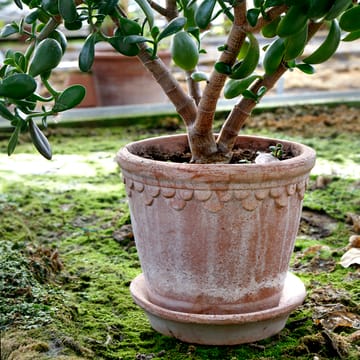 Københavner flower pot 21 cm - Pink - Bergs Potter