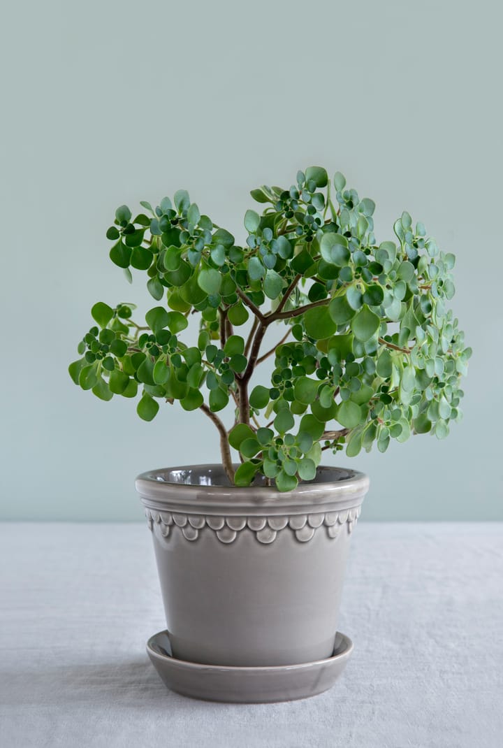 Københavner flower pot glazed Ø16 cm, Grey Bergs Potter