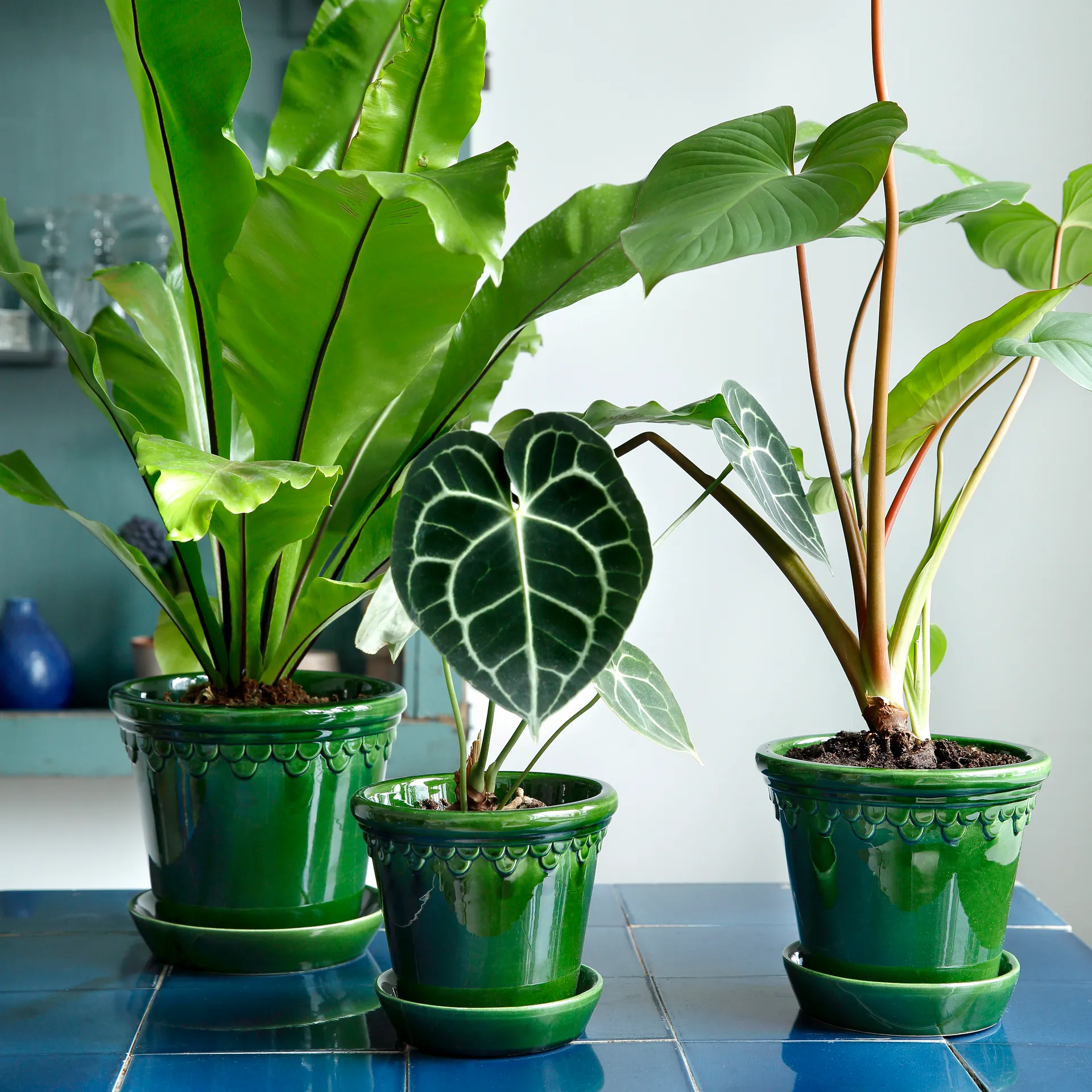 Københavner flower pot glazed Ø18 cm, Green Bergs Potter