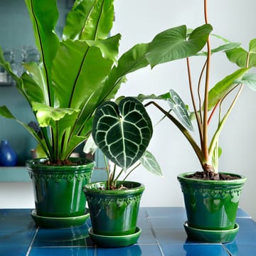 Københavner flower pot glazed Ø18 cm - Green - Bergs Potter