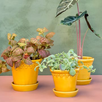 Københavner flower pot glazed Ø18 cm - Yellow - Bergs Potter