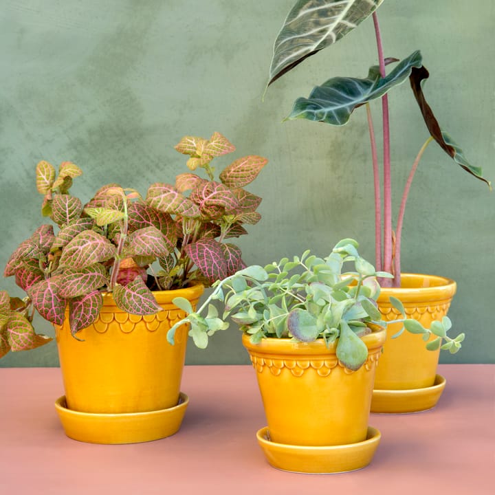 Københavner flower pot glazed Ø18 cm, Yellow Bergs Potter