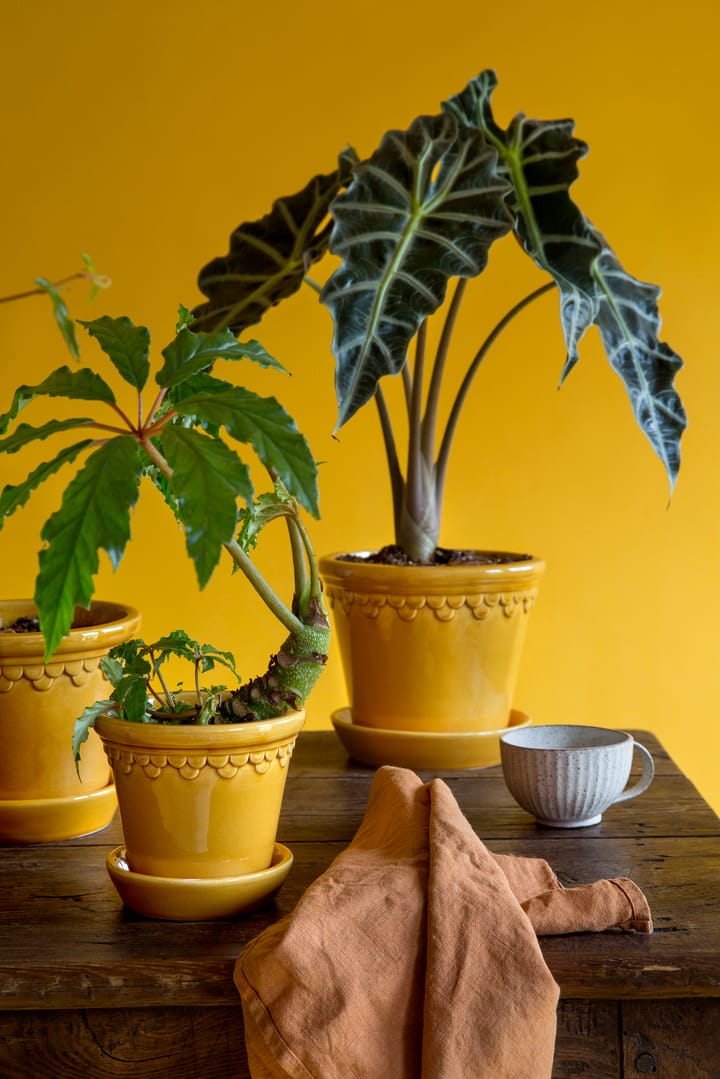 Københavner flower pot glazed Ø21 cm, yellow Bergs Potter