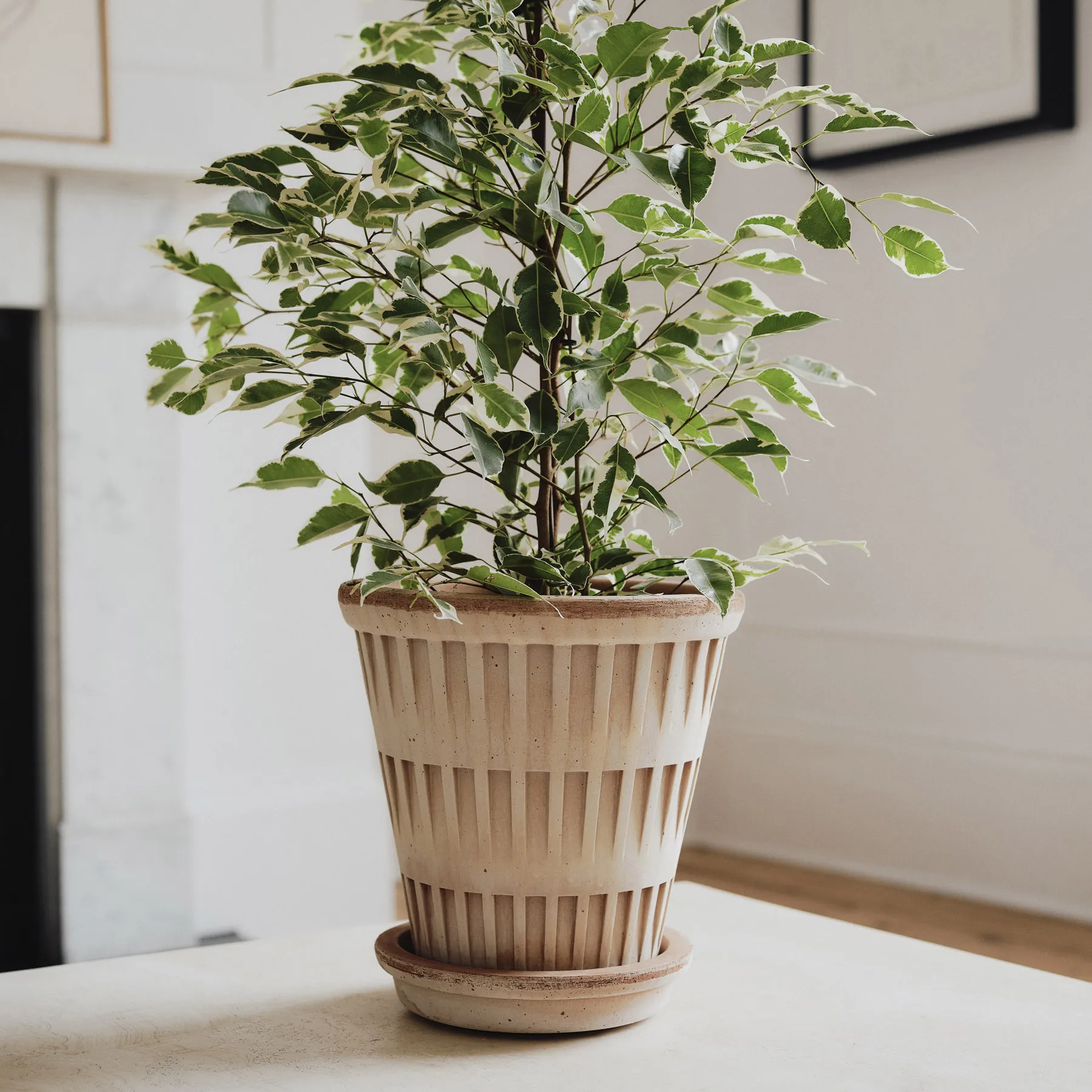 Pantheon raw pot, Pink, Ø21 cm Bergs Potter