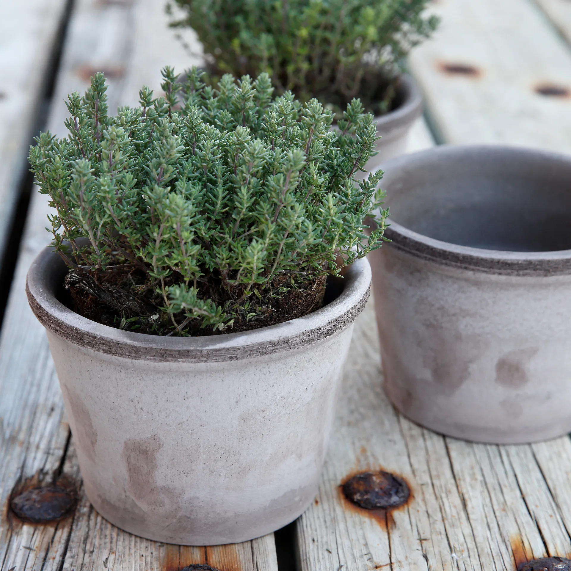 Parade flower pot Ø15 cm, grey Bergs Potter