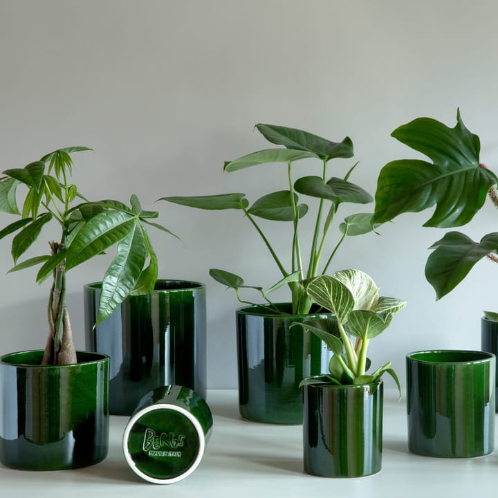 Romeo flower pot glazed Ø11 cm - green - Bergs Potter