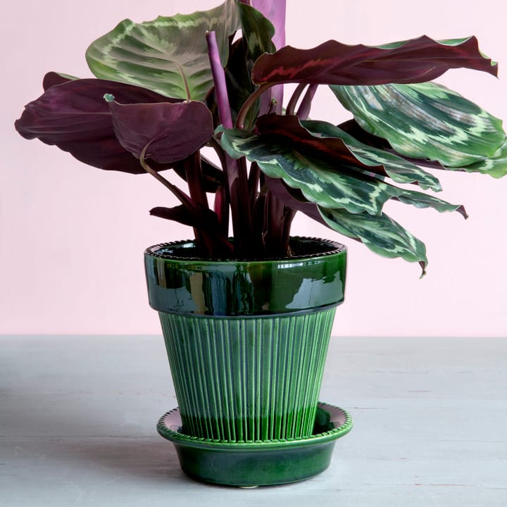 Simona flower pot glazed Ø16 cm - Green - Bergs Potter