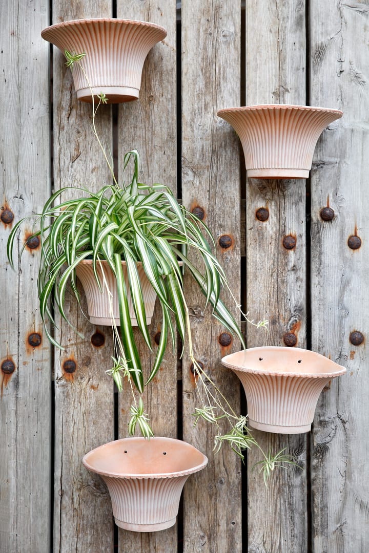 Wall Daisy wall-flower pot Ø30 cm - pink - Bergs Potter