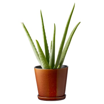Bitz flower pot with saucer Ø14 cm - amber-black - Bitz