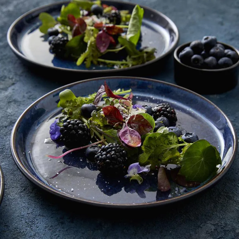 Bitz plate gastro Ø 21 cm, Black-dark blue Bitz