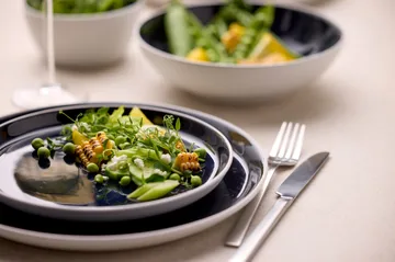 Bitz plate gastro Ø27 cm - White-dark blue - Bitz