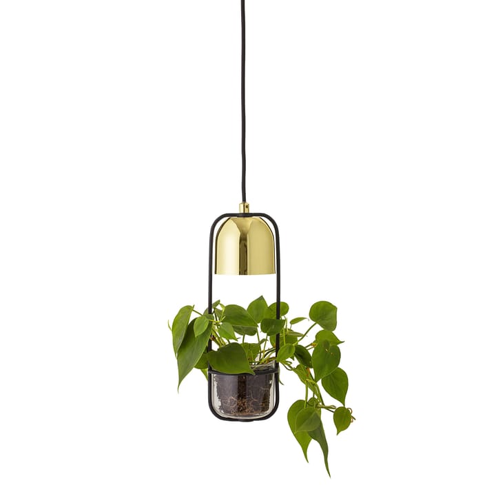 Bloomingville ceiling lamp with hanging basket Ø10 cm - clear-gold - Bloomingville