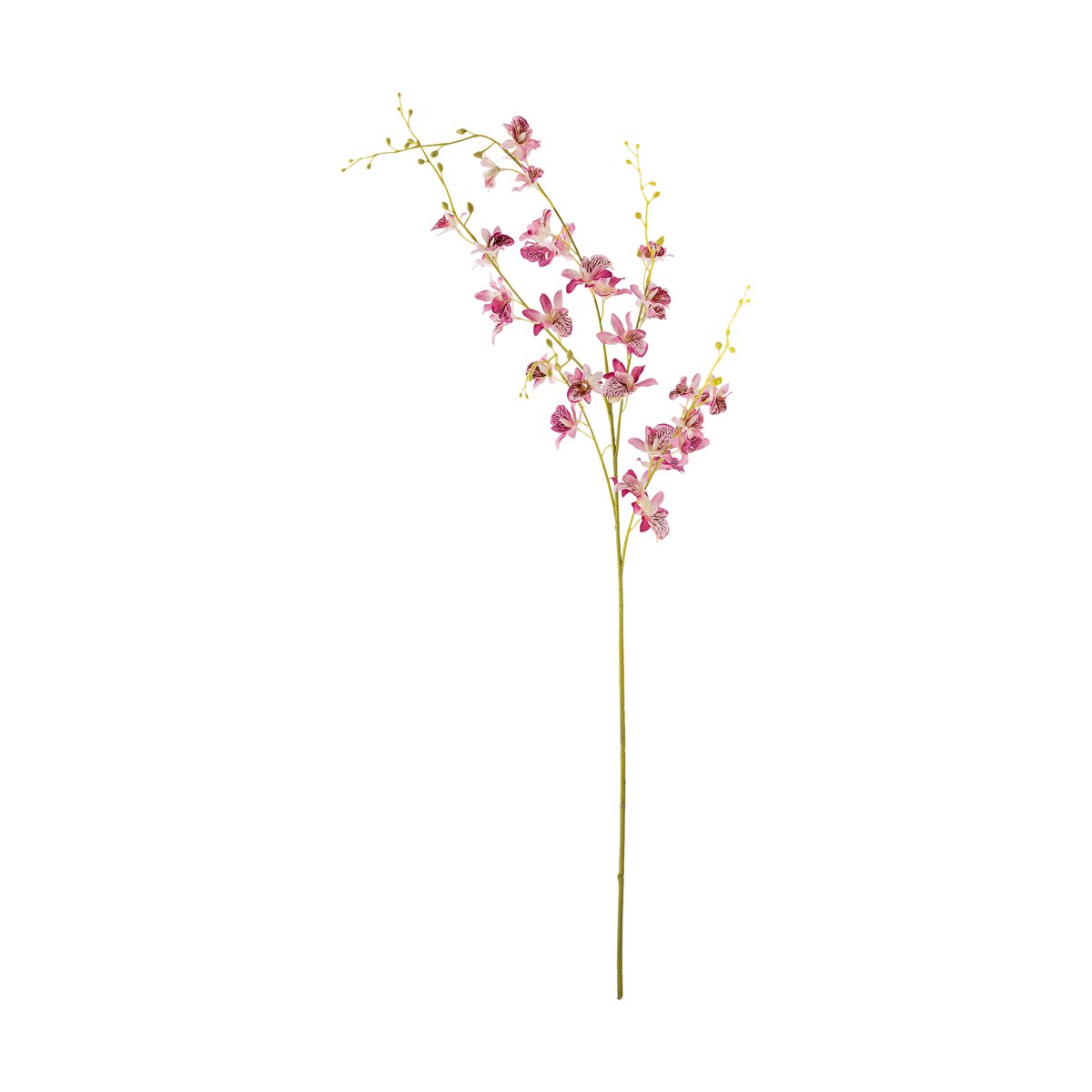 Bloomingville Stem orchid wax flower Pink | Scandinavian Design | Decorative accessories | Pink