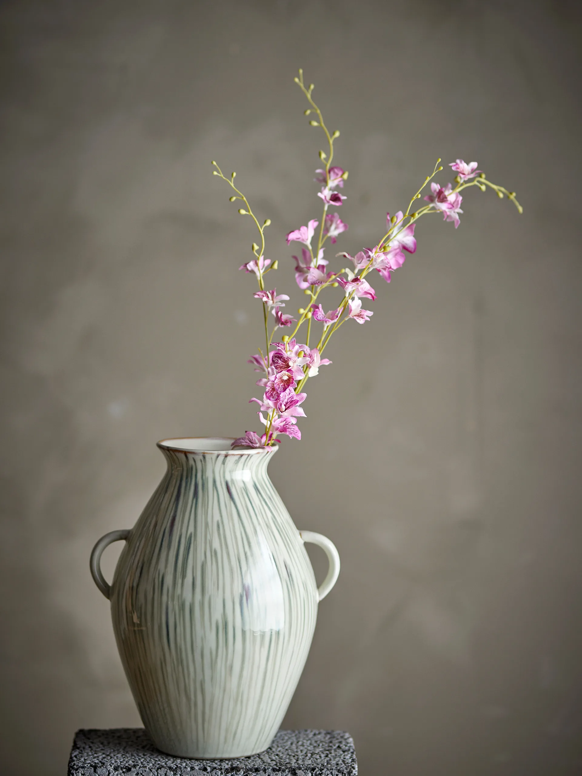 Stem orchid wax flower, Pink Bloomingville