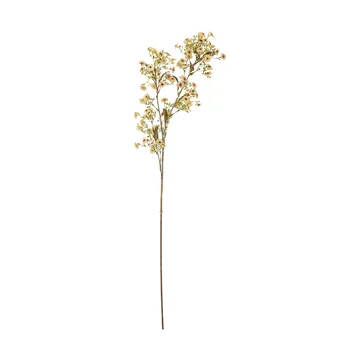 Stem wax flower - White - Bloomingville
