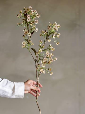 Stem wax flower - White - Bloomingville