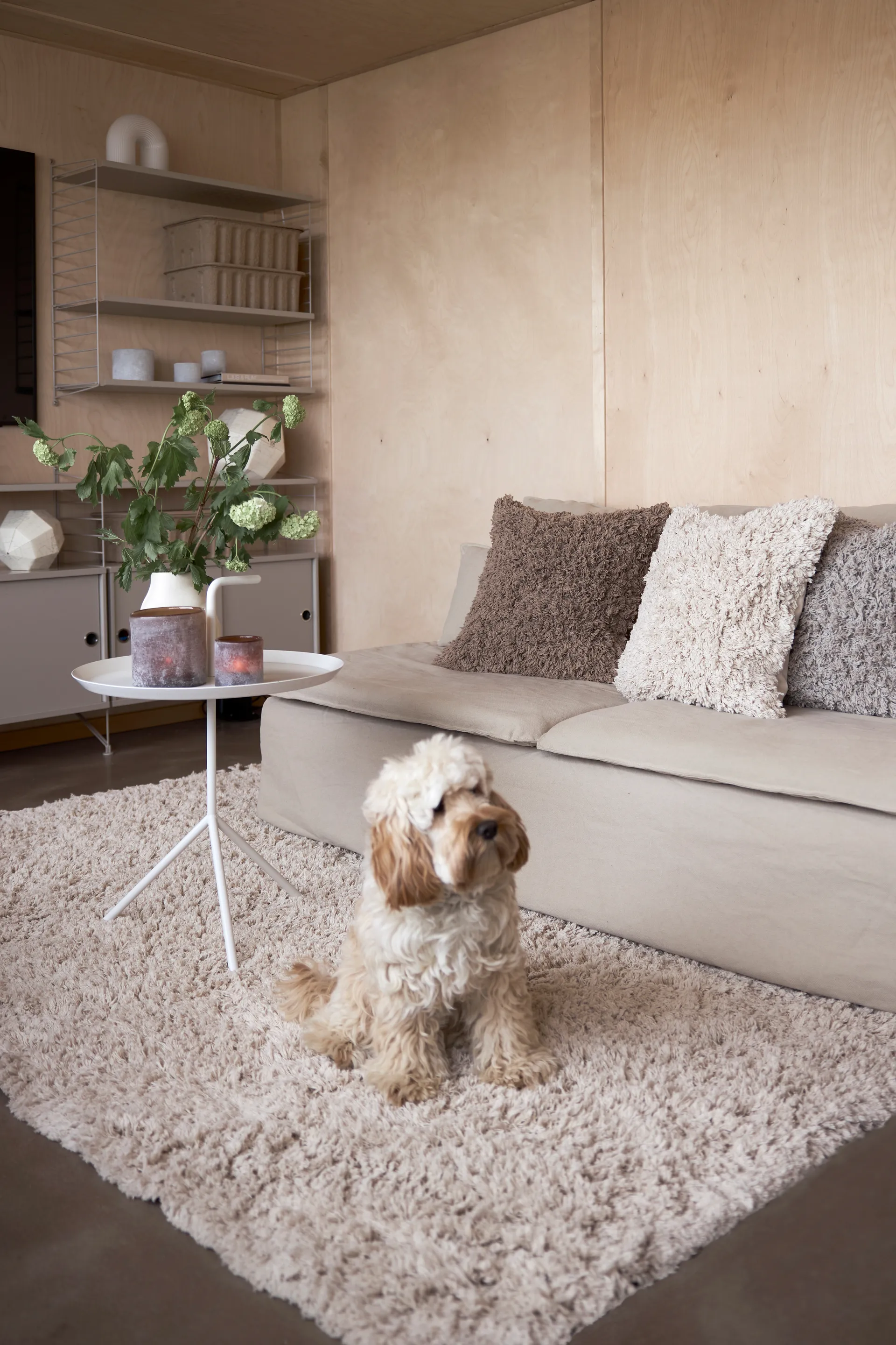 Noma cotton rug 160x230 cm, Beige Boel & Jan