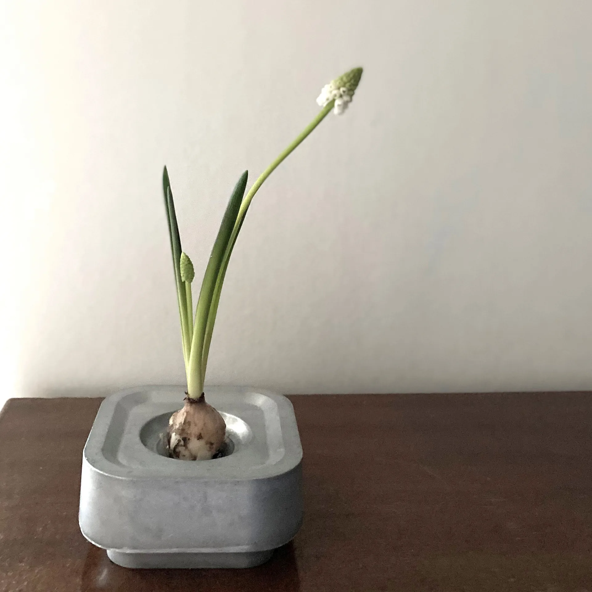 Stumpastaken candle holder Ettan, aluminum Born In Sweden