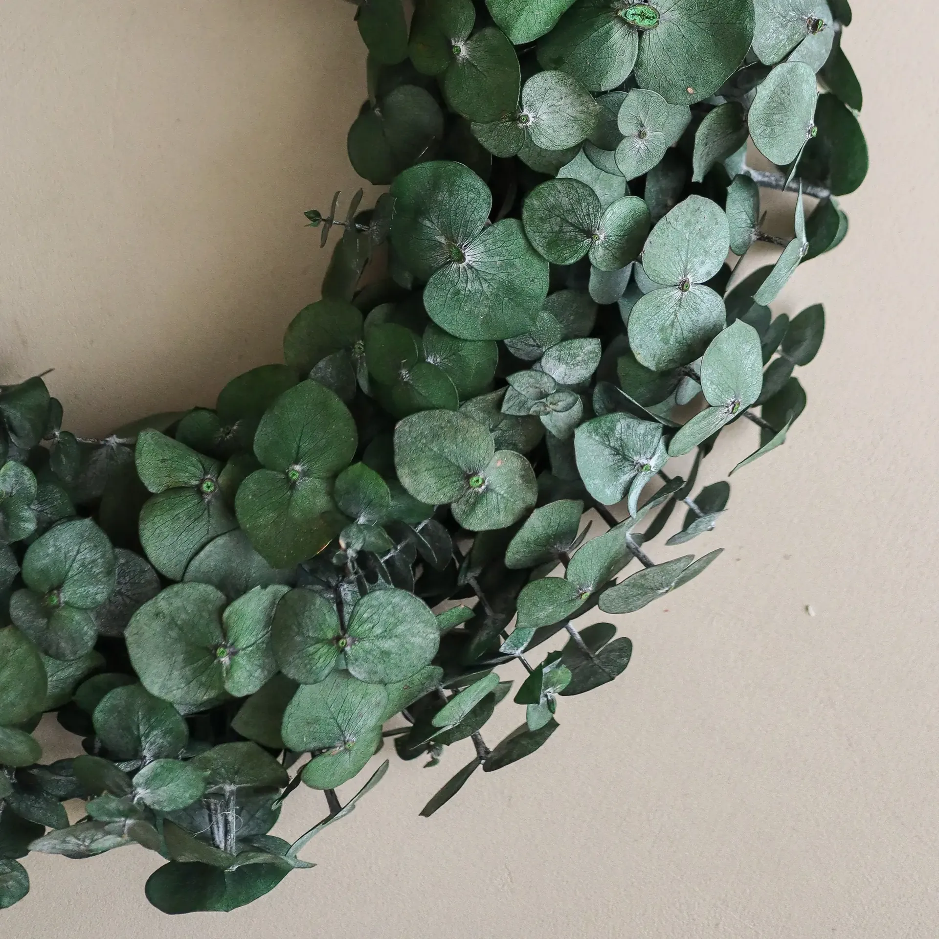 Eucalyptus Wreath wreath, Green, Ø40 cm Botané
