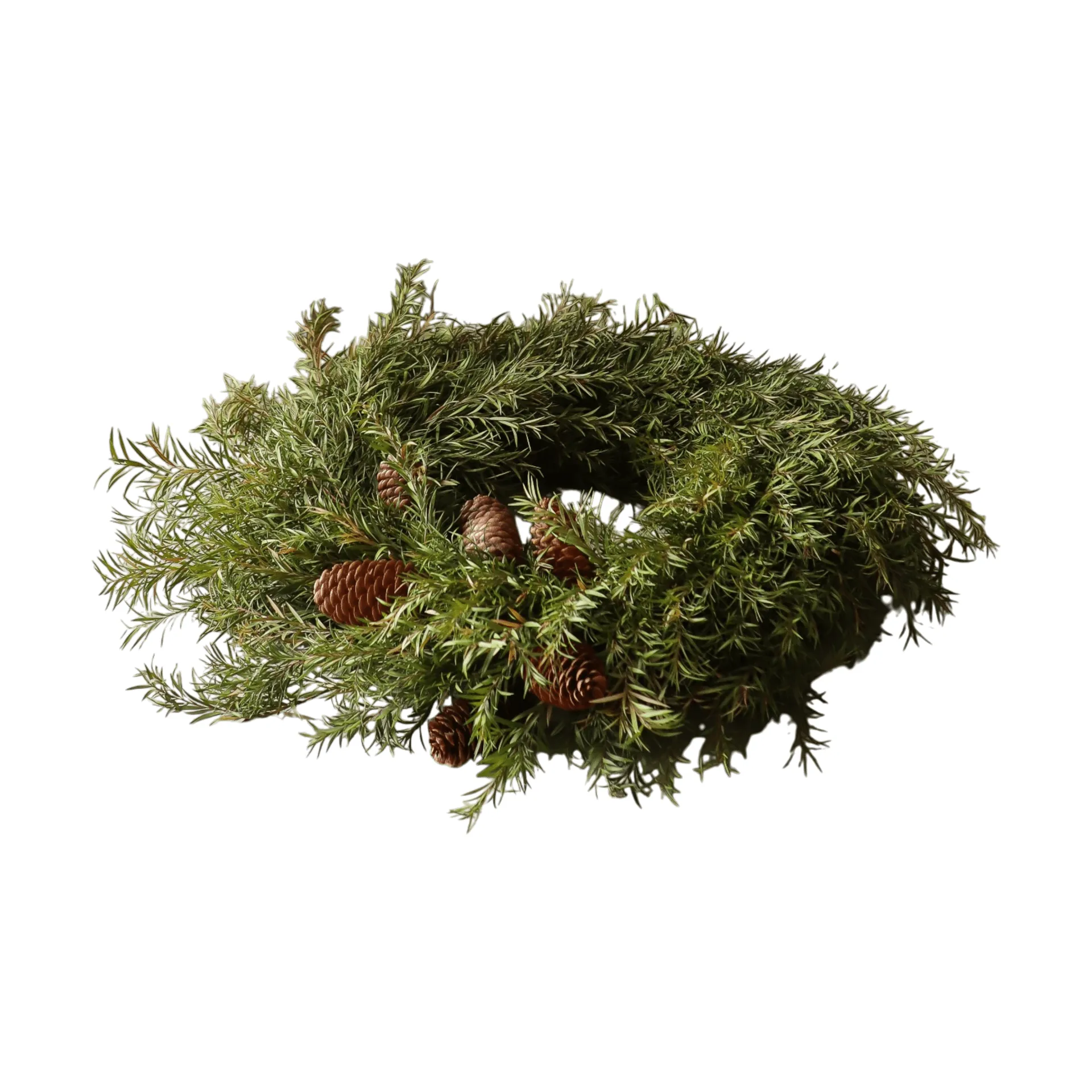 Evergreen Pine Wreath wreath, Spruce twigs, Ø40 cm Botané