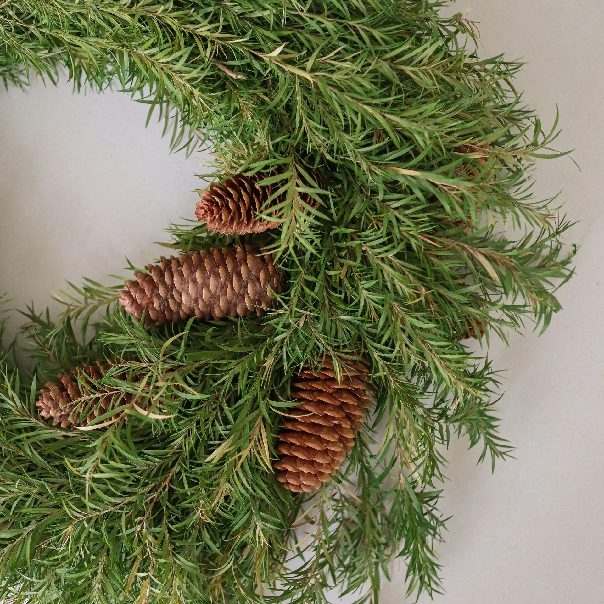 Evergreen Pine Wreath wreath, Spruce twigs, Ø40 cm Botané