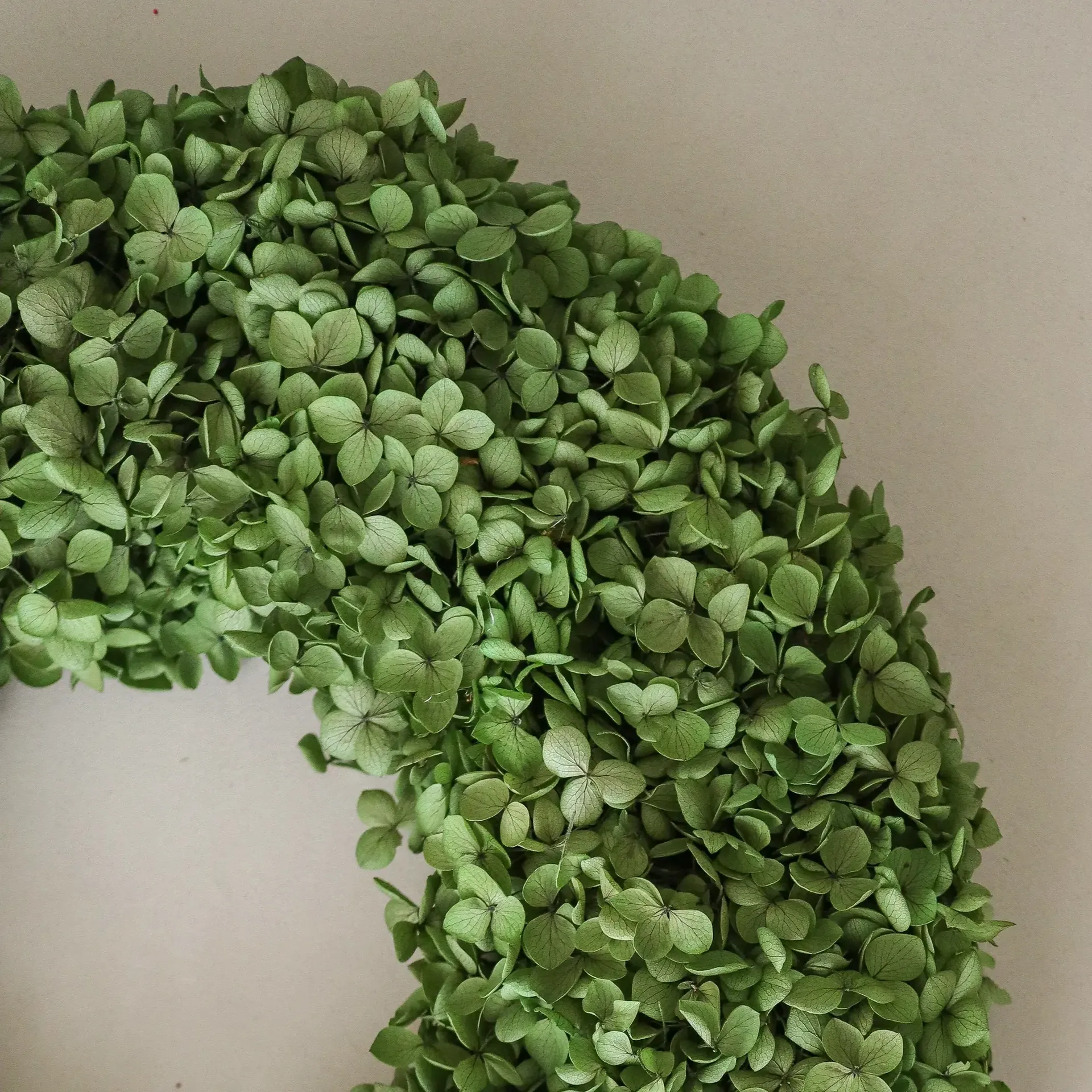 Hortensia Wreath flower wreath, Green, Ø40 cm Botané