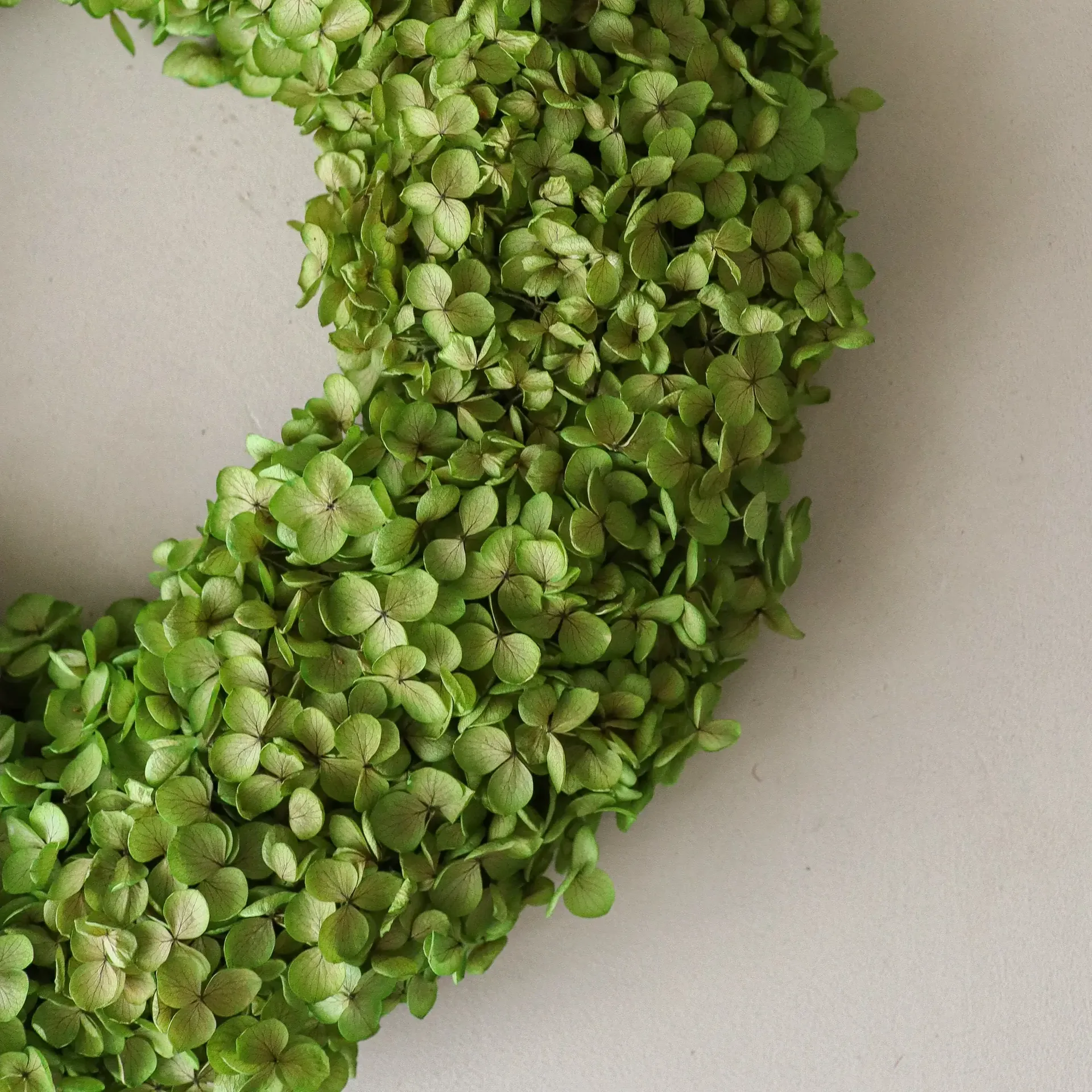 Hortensia Wreath flower wreath, Light green, Ø40 cm Botané
