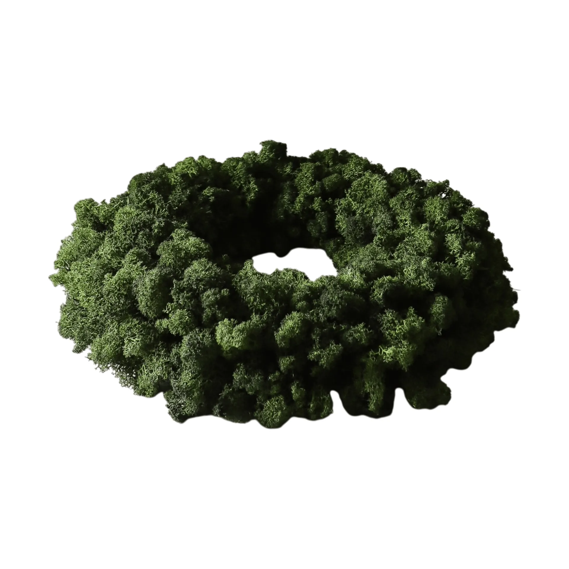 Moss Wreath wreath, Green, Ø40 cm Botané
