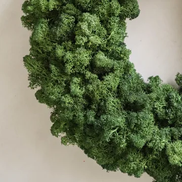 Moss Wreath wreath - Green, Ø40 cm - Botané