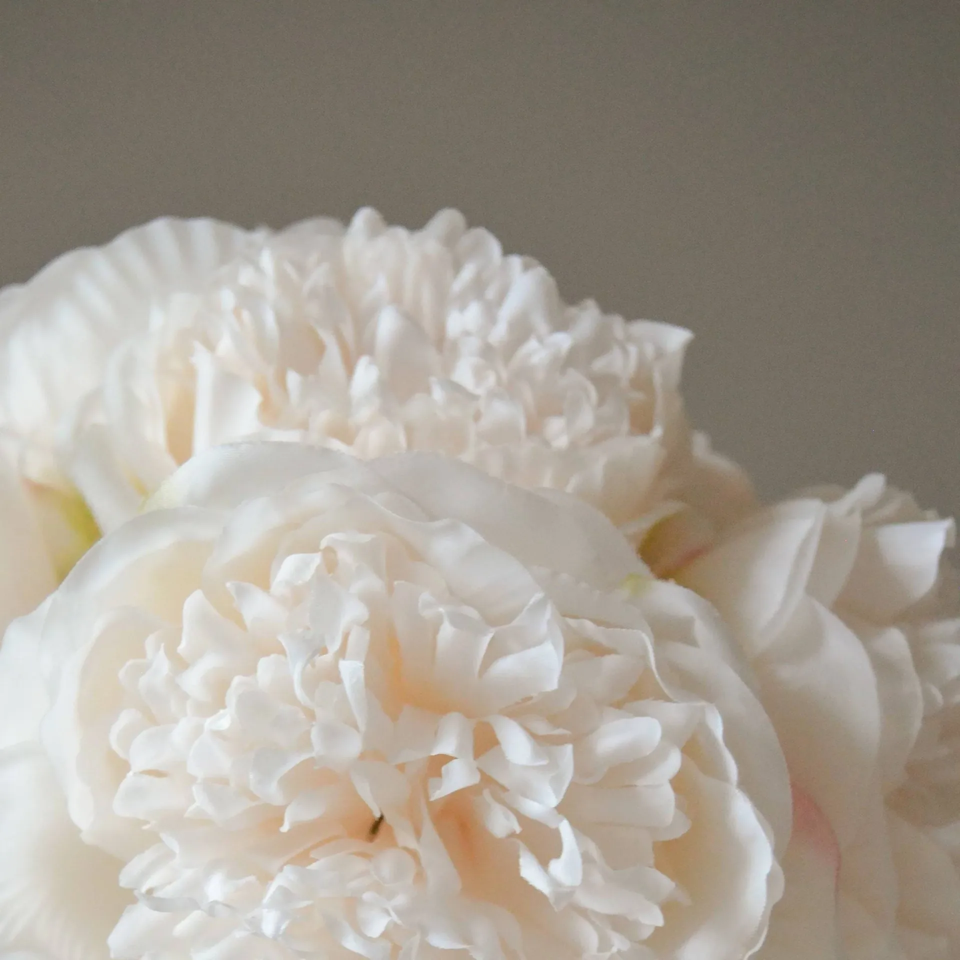 Peony artificial bouquet, Mini, cream 10 pcs Botané