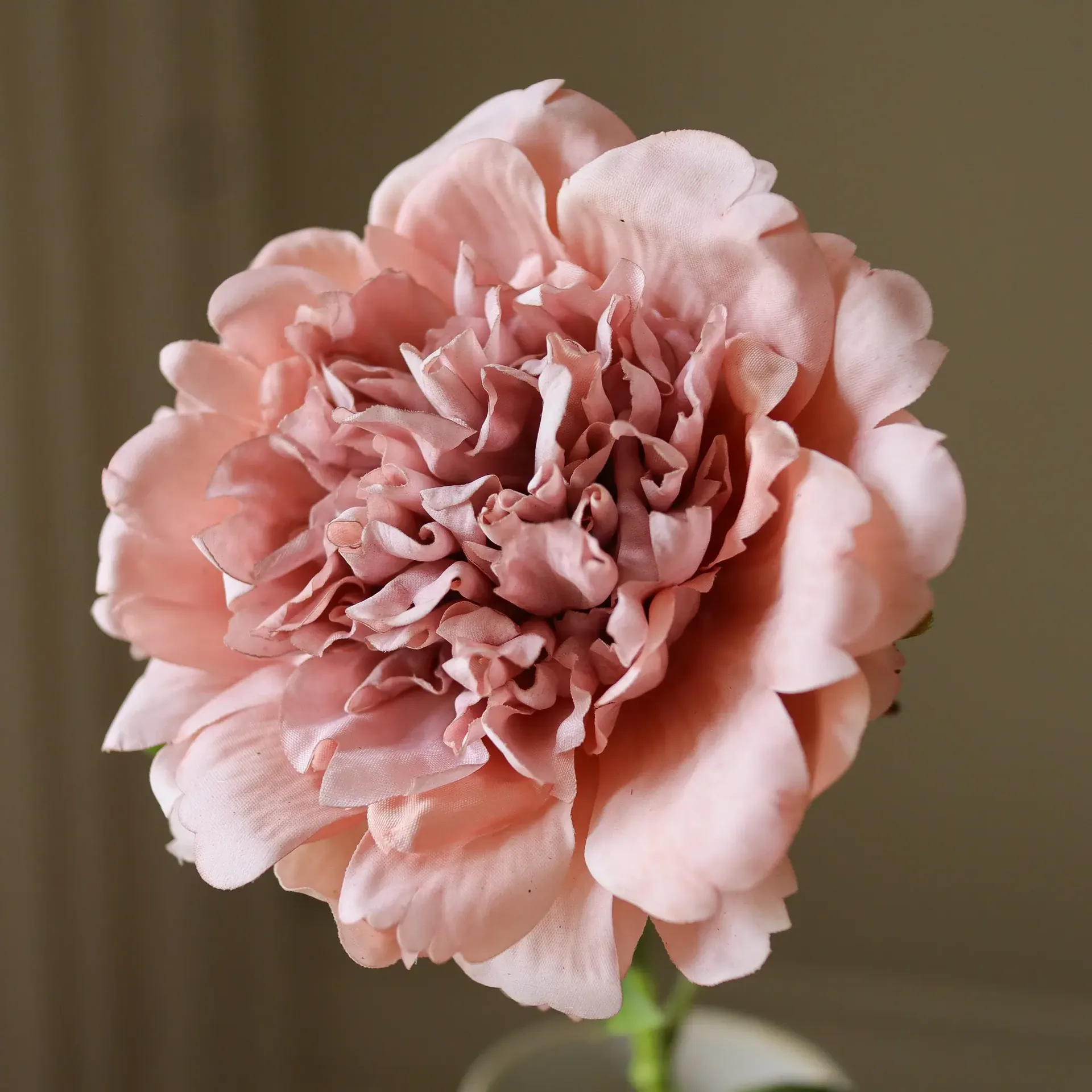 Peony artificial flower, Dusty pink, 56 cm, 1 pc Botané