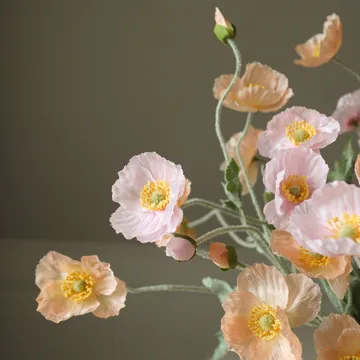 Poppy artificial bouquet - Sorbet Kisses, light pink-coral, 11 pcs - Botané