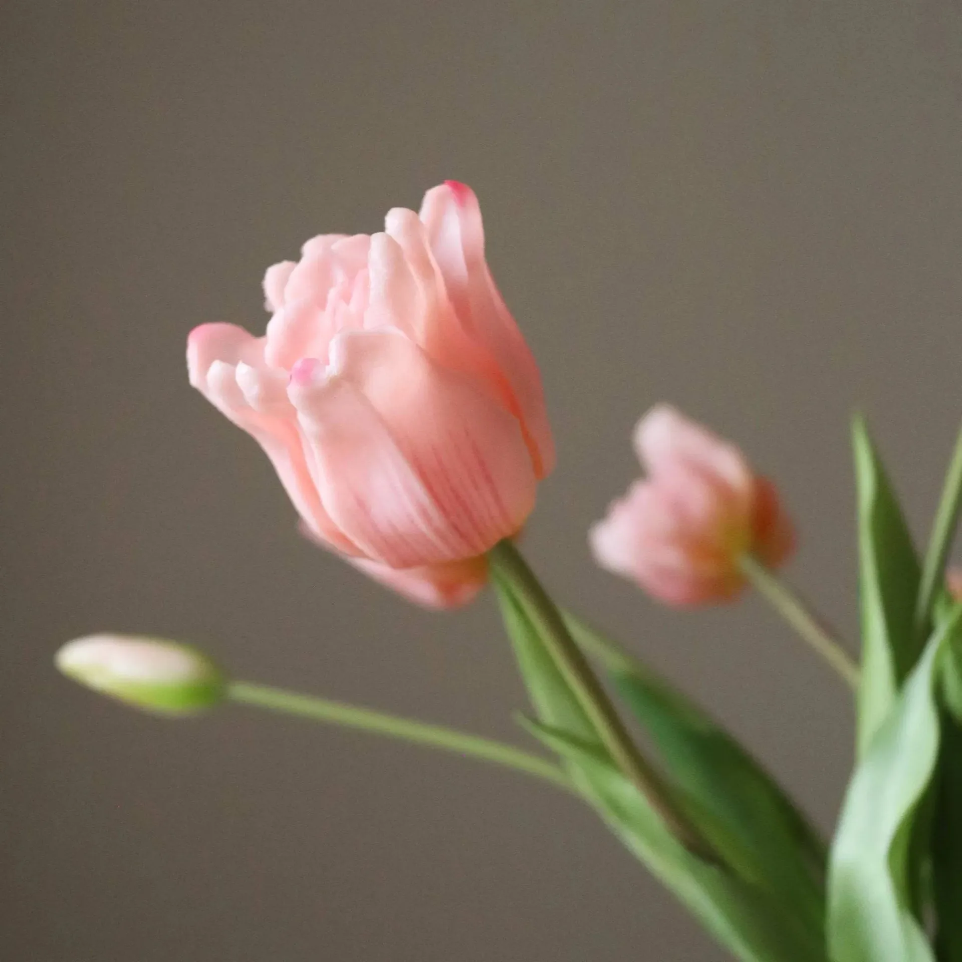 Triumph tulips artificial bouquet, Light pink, 10 pcs Botané