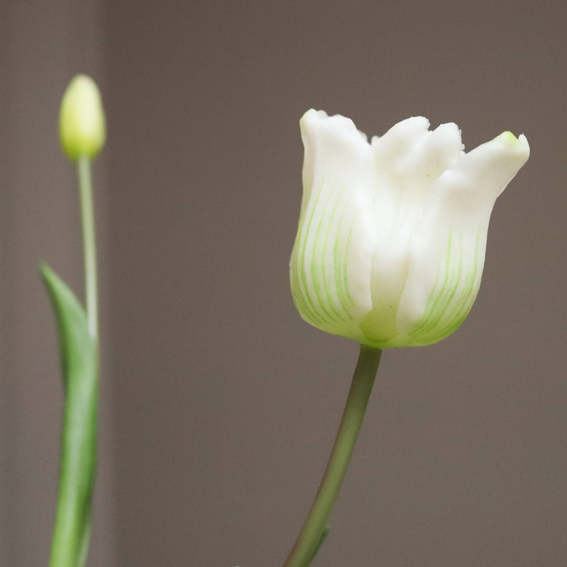 Triumph tulips artificial bouquet, White, 10 pcs Botané