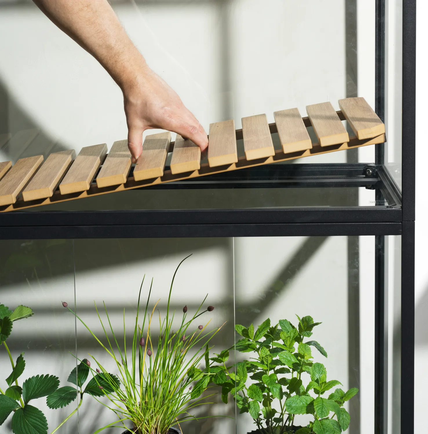 Grower Greens plant cabinet, Black, 81x137 cm Brafab