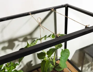 Grower Greens plant cabinet - Black, 81x137 cm - Brafab