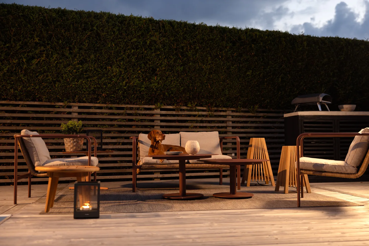 Motty armchair, Zin red-teddy beige Brafab