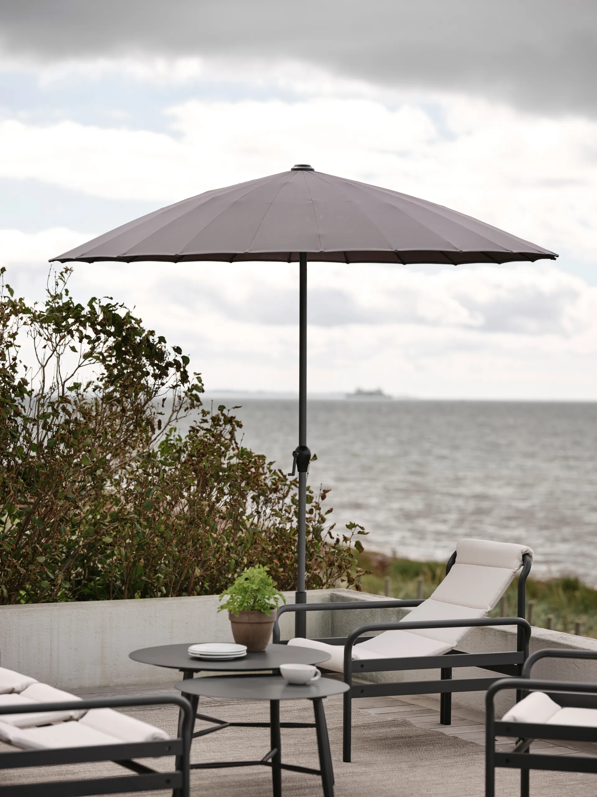 Shanghai parasol, Grey Brafab