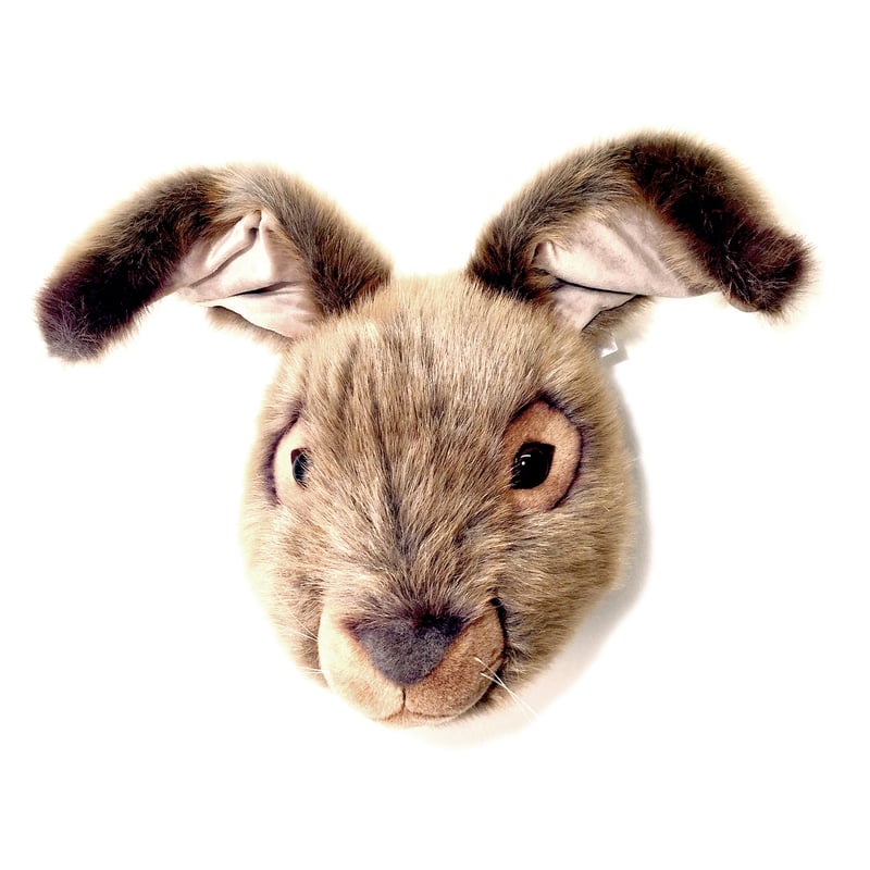 Brigbys Stuffed hare head for wall hare head