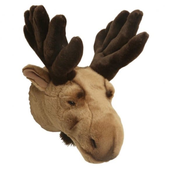 stuffed mounted moose head