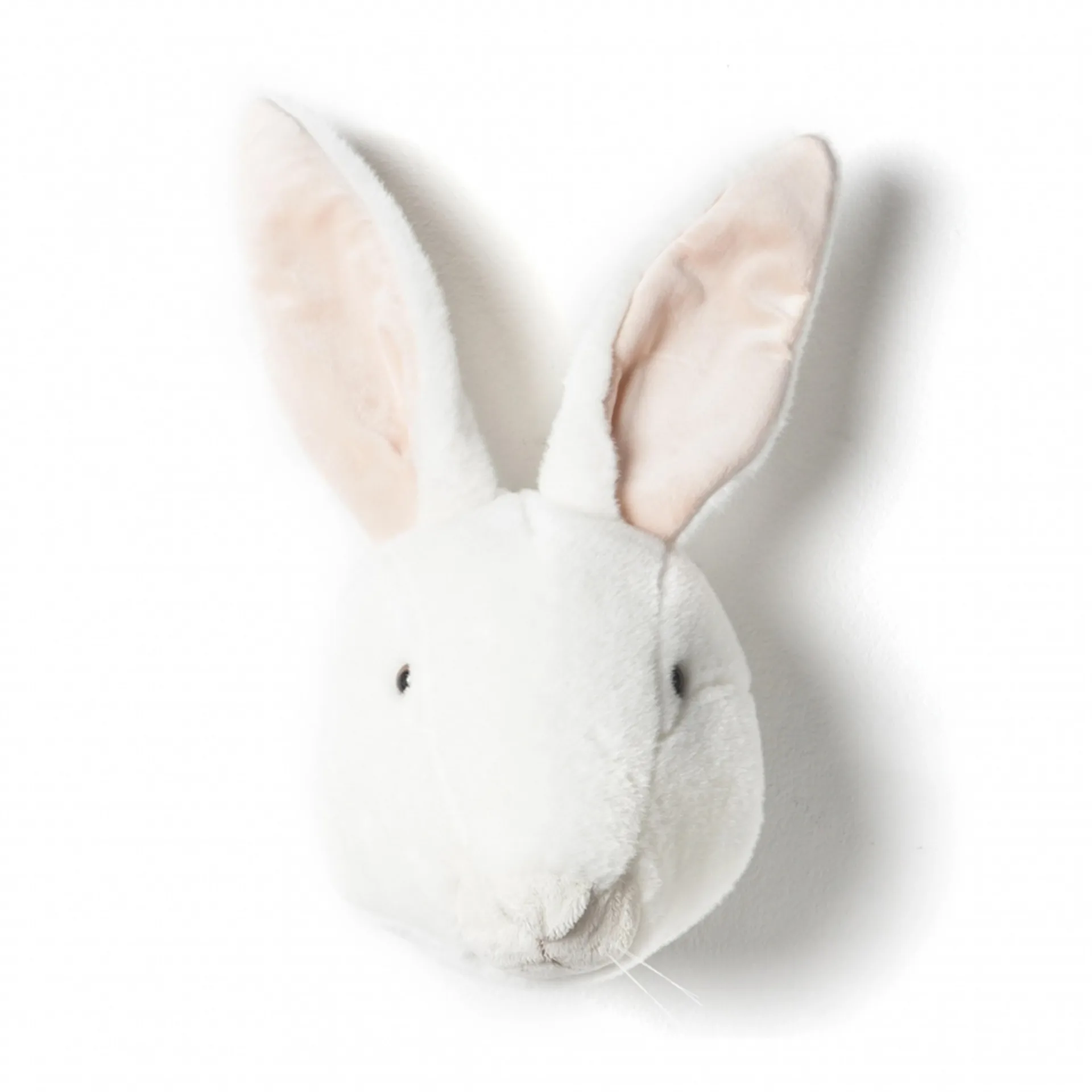 Stuffed Rabbit head for wall, rabbit Brigbys