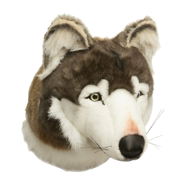Wolf head for wall, Wolf Brigbys