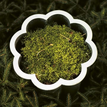 Gråsippa plant pot - Aluminum sand-casted, no. 3 Ø62 cm - Byarums bruk