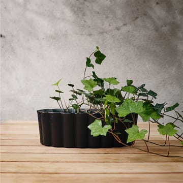 Palissad plant pot - Black - Byarums bruk